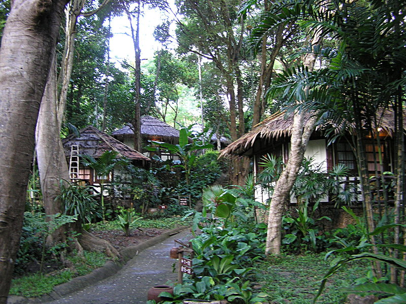 PA270077.JPG