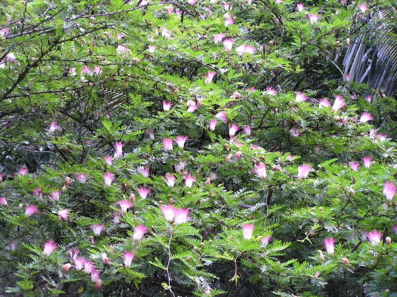 PA270086.JPG