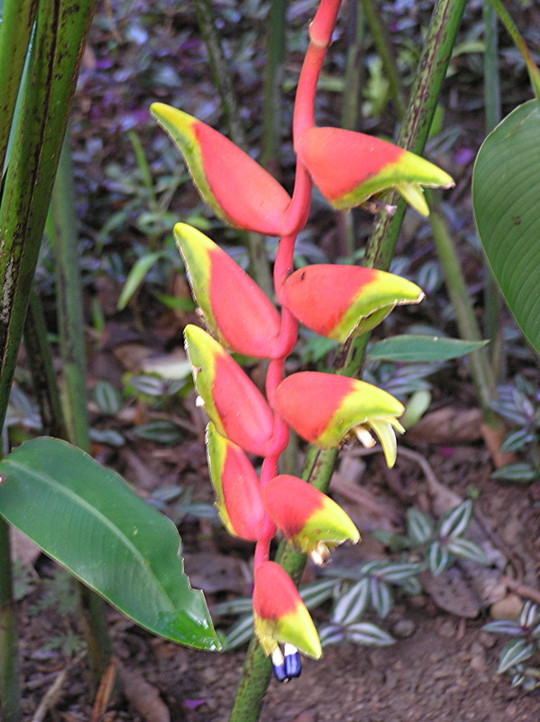 PA270087.JPG