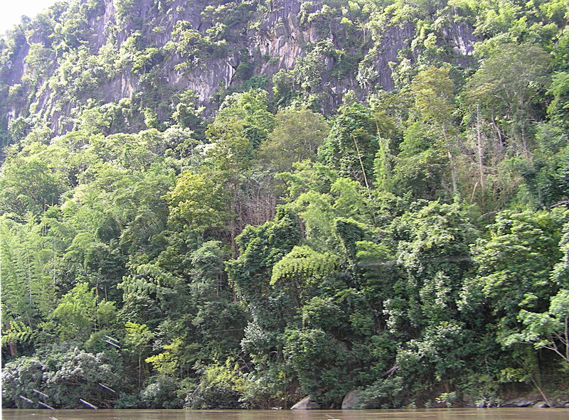 PA270104.JPG