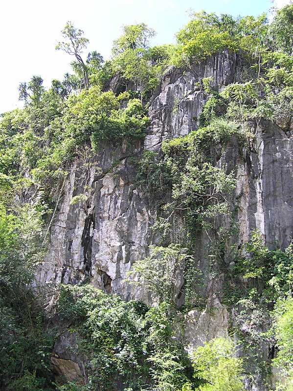 PA270108.JPG