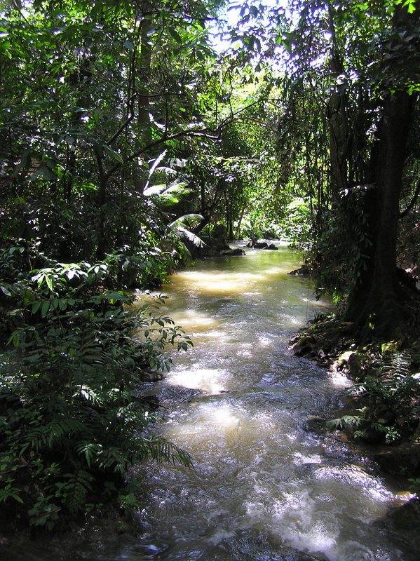 PA270113.JPG