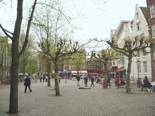 p4240005.jpg