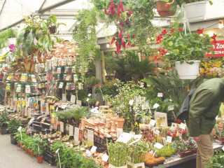 p4240012.jpg
