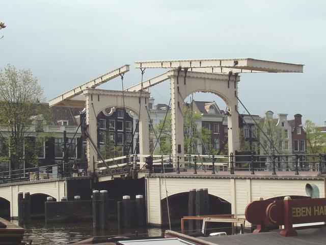 p4240022.jpg
