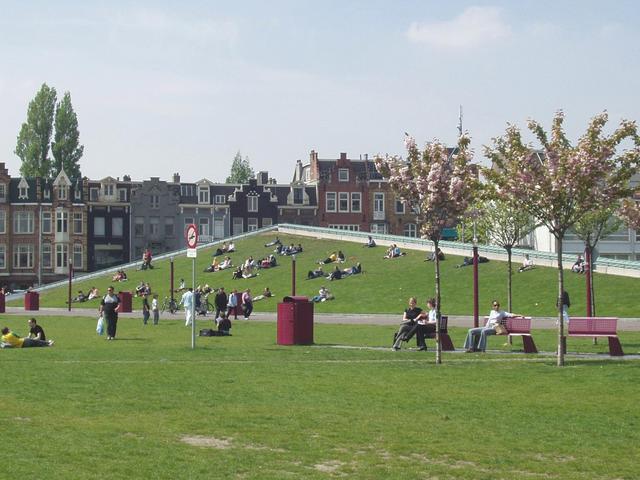 p4260137.jpg