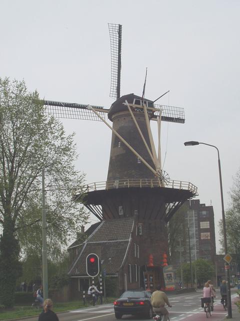 p1010207.jpg