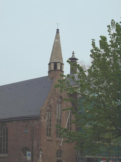 p1010213.jpg