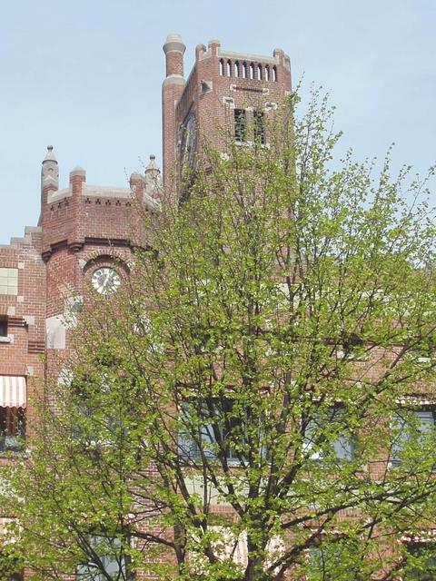 p4270168.jpg