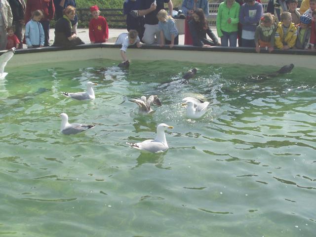 p1010321.jpg