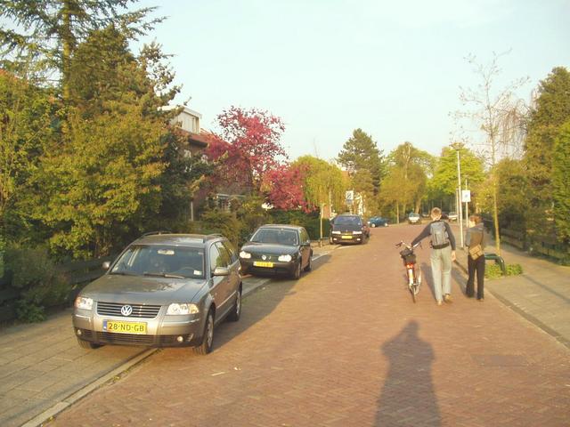 p4260147.jpg