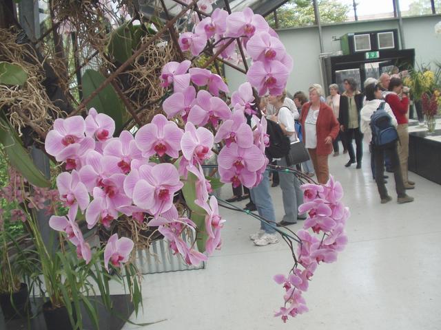 p4250096.jpg