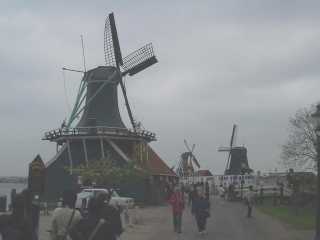 p1010263.jpg