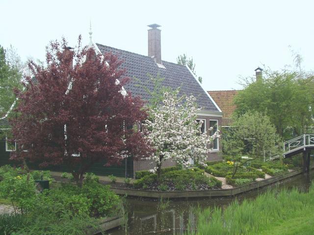 p1010285.jpg