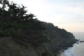 IMG_0248.jpg