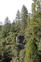 IMG_0323.jpg