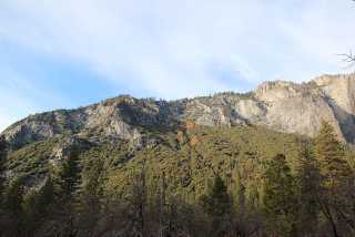 IMG_0351.jpg