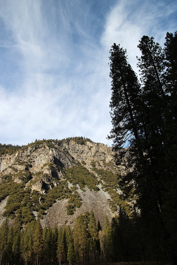 IMG_0325.jpg
