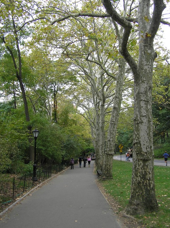 PA290145.JPG