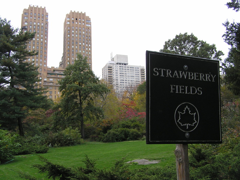 PA290146.JPG