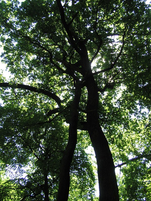 P6010002.JPG