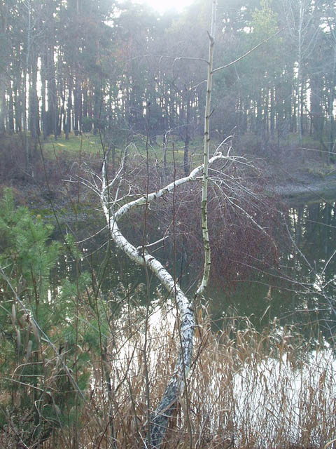 PB230007.jpg