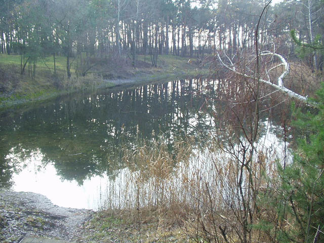 PB230008.jpg