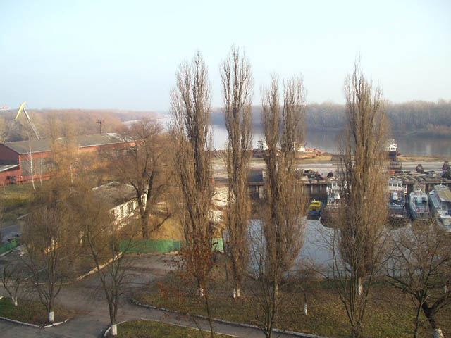 PB230011.jpg