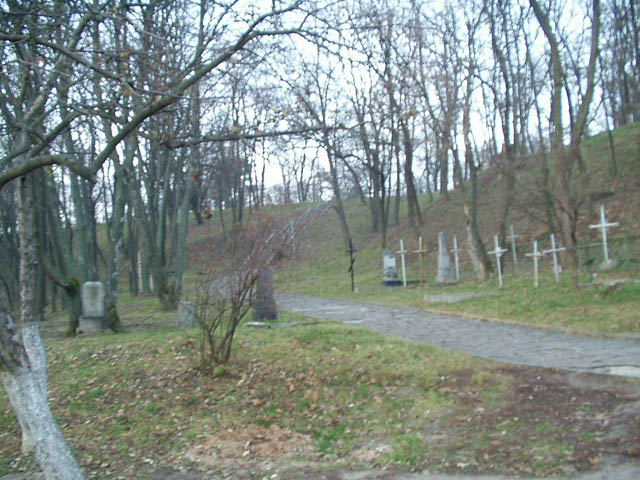 PB230049.jpg