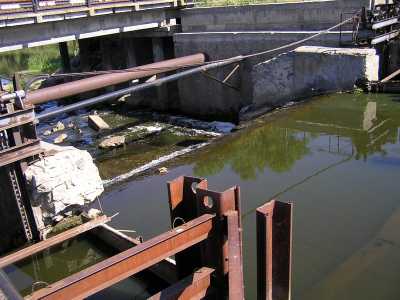 p8060007.jpg