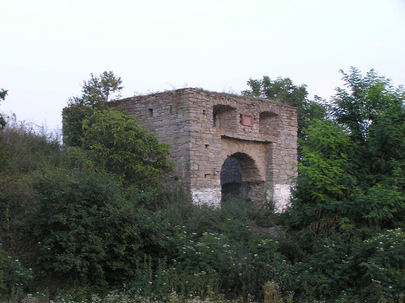p8060104.jpg