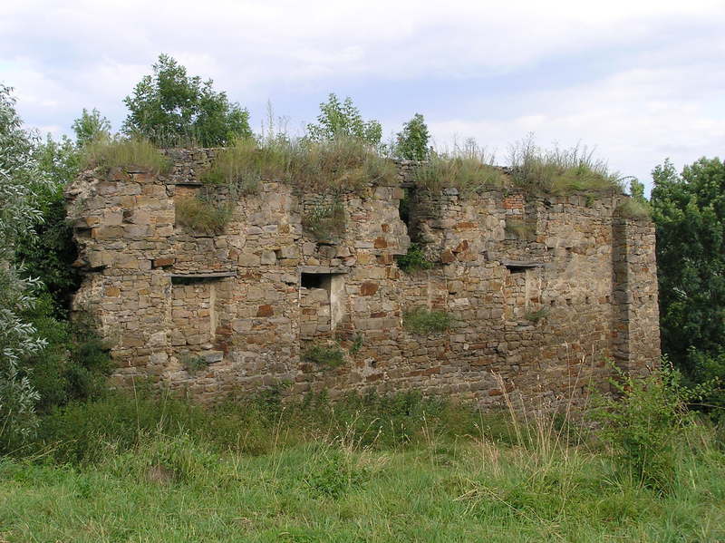 p7140019.jpg