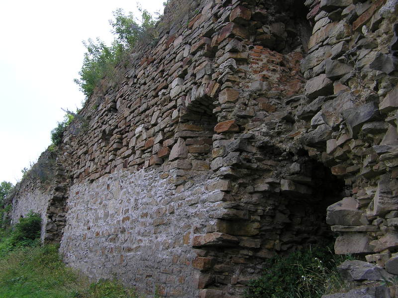 p7140024.jpg
