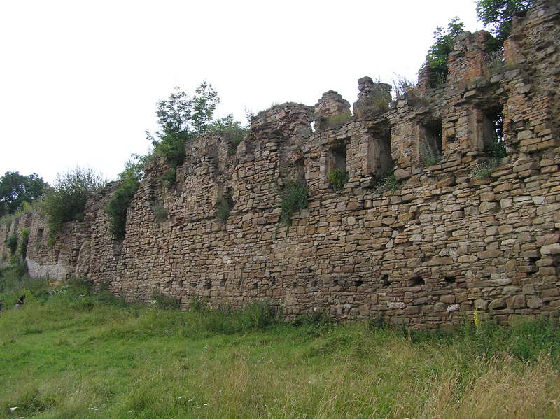 p7140029.jpg