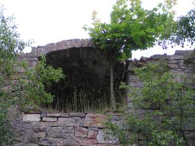 p7140013.jpg