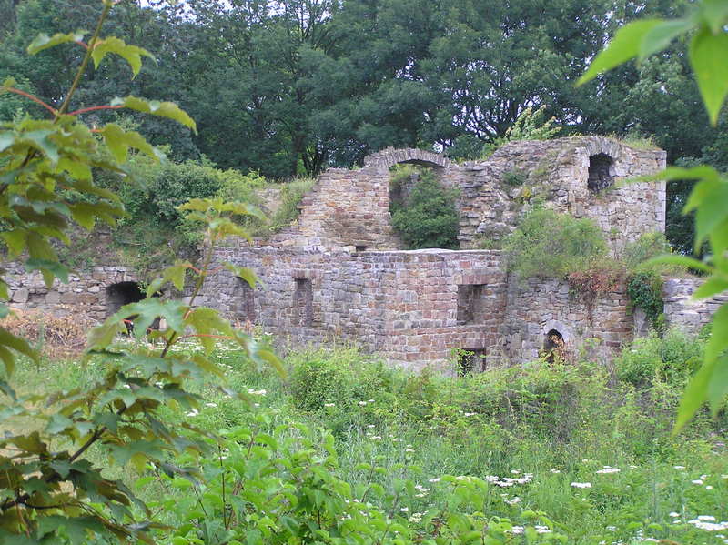 p7140006.jpg