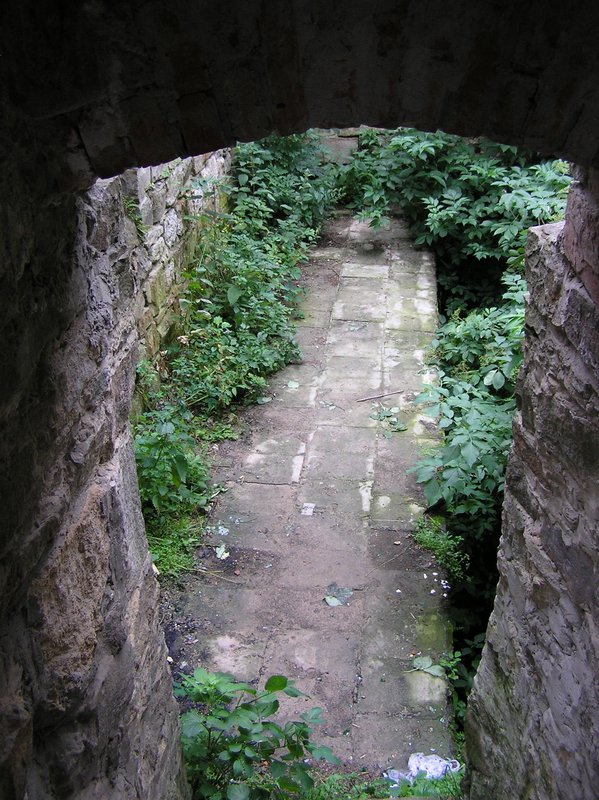 p7140014.jpg