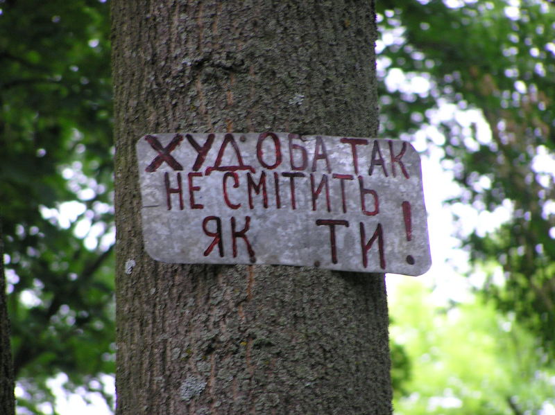 p7140018.jpg