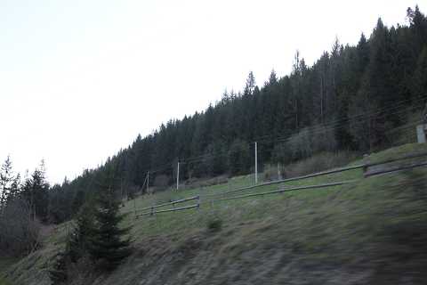 IMG_1442.JPG