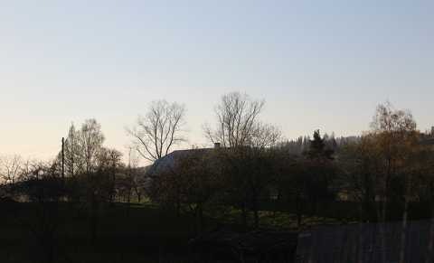 IMG_1445.JPG