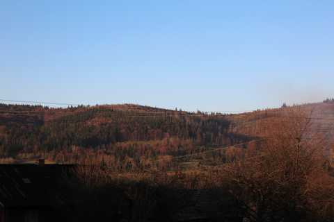 IMG_1454.JPG