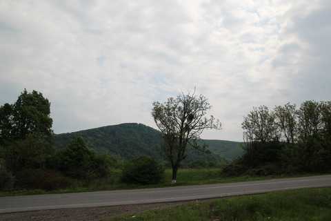 IMG_1671.JPG