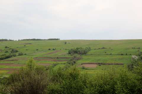 IMG_1686.JPG
