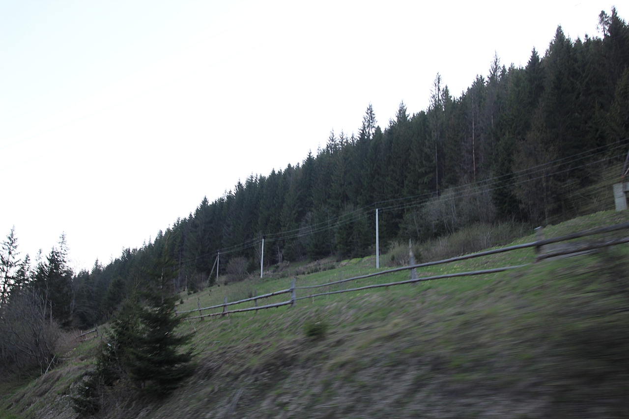 IMG_1442.JPG