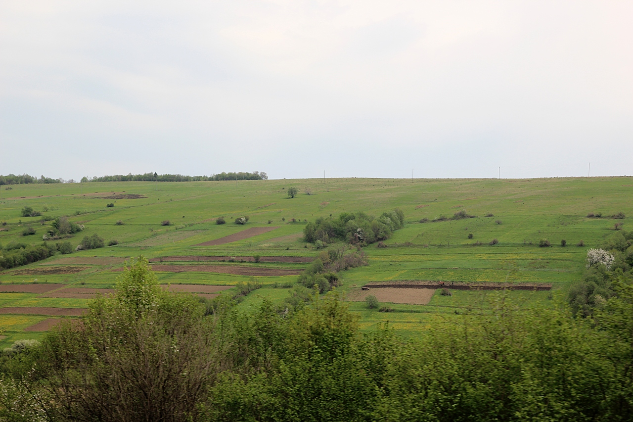 IMG_1686.JPG
