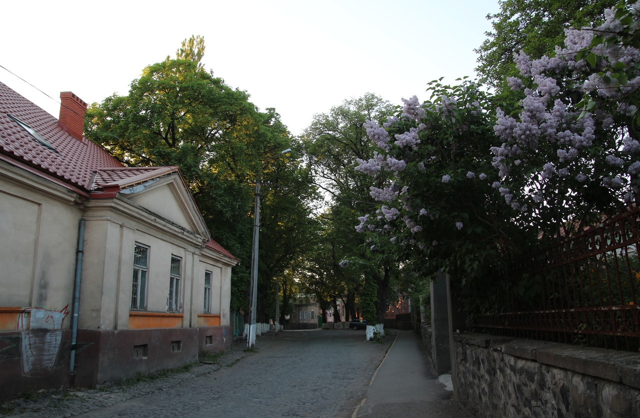 IMG_1588.JPG