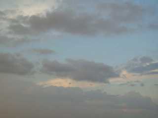 p7050006.jpg