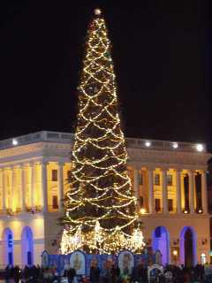 P1010039.jpg