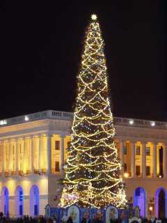 P1010040.jpg