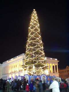 P1010045.jpg